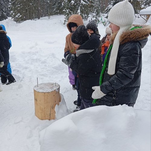 Ах, ты зимушка - зима!