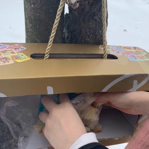 Дружба с природой: кормушки для птиц   