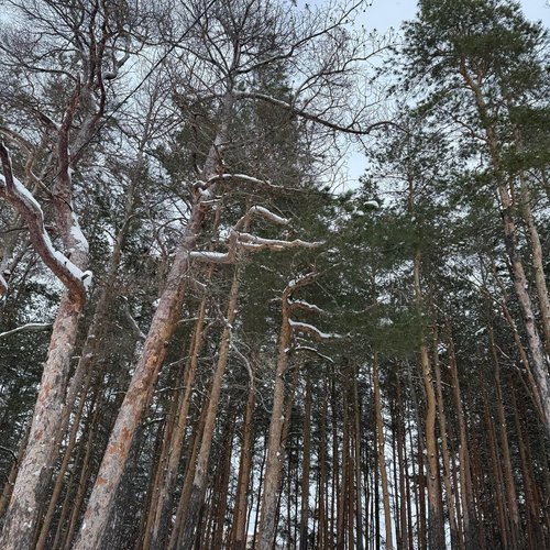 МАСЛЕНИЦА—2026 ДЛЯ ЛИДЕРОВ ГОРОДСКОГО ШКОЛЬНОГО АКТИВА "НАВИГАТОРЫ. ДЕТИ" 