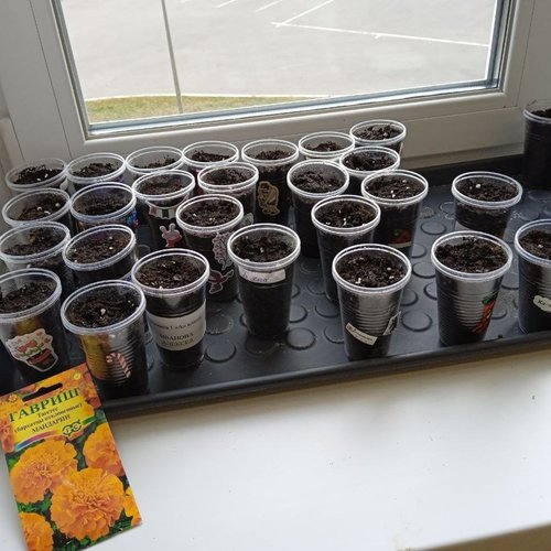 #12ДобрыхДел – 12 лет единства сердца!