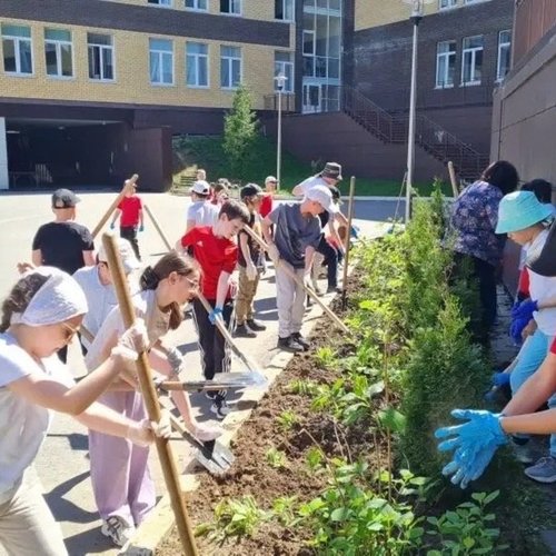 Солнечные бархатцы на школьной клумбе: проект третьеклассников