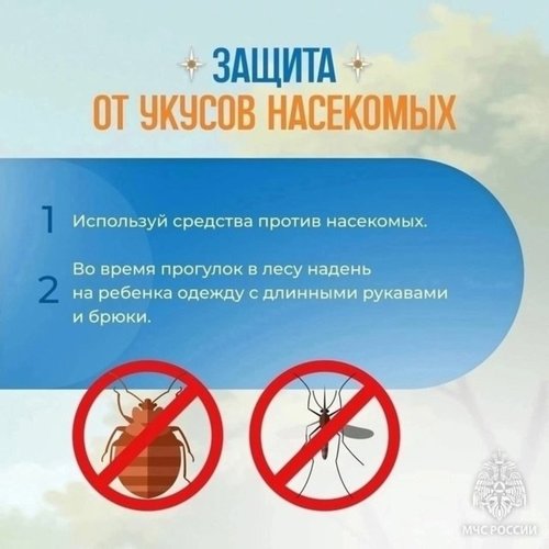 Памятка для родителей: БЕЗОПАСНОСТЬ ДЕТЕЙ В ЛЕТНИЙ ПЕРИОД