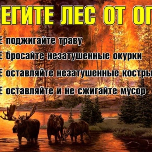 Берегите лес от огня!
