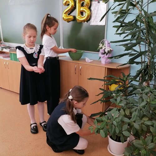 «Капля жизни»: чтобы память не пересохла