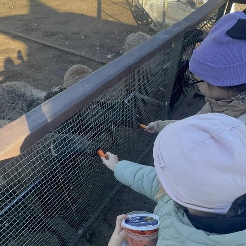 Золотая осень, Чапаев и настоящий «Ковчег»: как 2Г класс проводит свои каникулы!