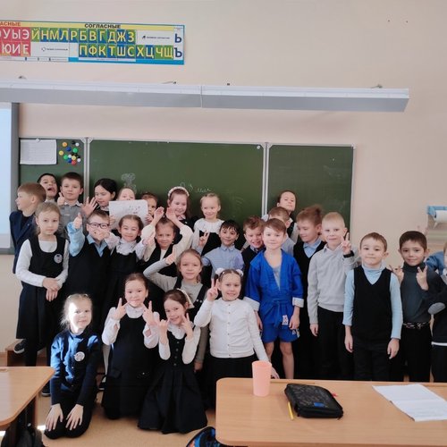 О кошках, собаках, черепахах, морских свинках и других