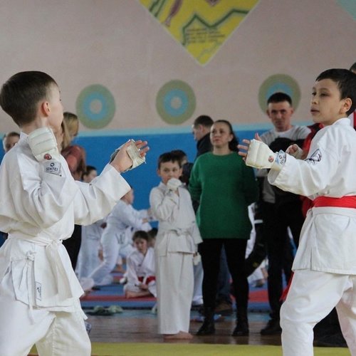 XIII Чемпионат и первенство России по каратэ