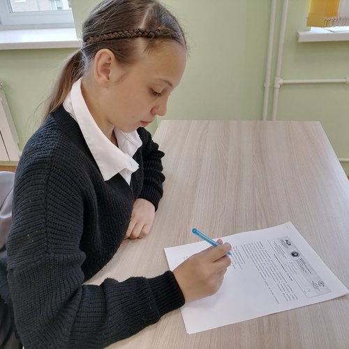 День русского языка. Праздник приурочен ко дню рождения великого русского поэта А.С. Пушкина, «солнца русской поэзии». 