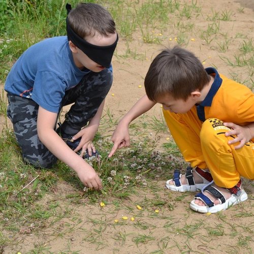 ПРИШКОЛЬНЫЙ ЛАГЕРЬ "ПРО-ДЕТСТВО" ДЕНЬ 14