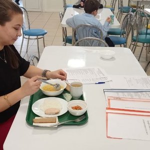  Родительский контроль за организацией и качеством питания