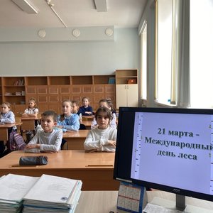 21 марта - международный день леса