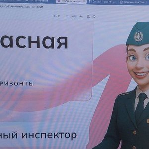 Безопасная среда. Таможенный инспектор.