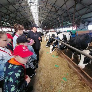 Экскурсии продолжаются!