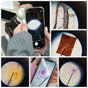 Методическая неделя «Повышение качества математического и естественнонаучного образования: современные подходы».