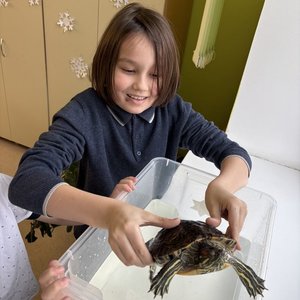 Необычный урок окружающего мира