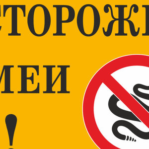 Как не пострадать от укуса змеи на природе