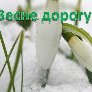 «Весне дорогу!»